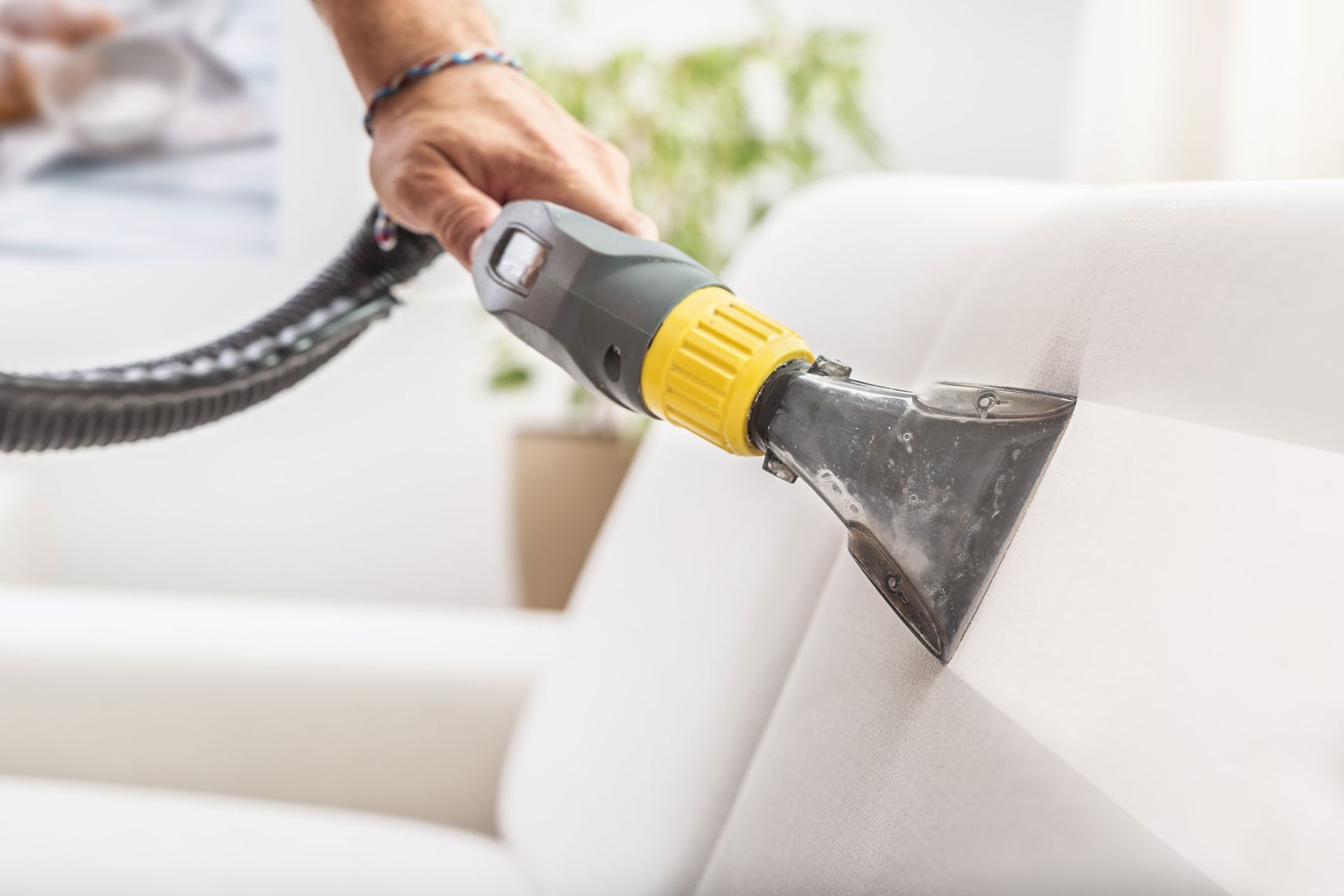 Person cleaning a white couch with an upholstery cleaner.