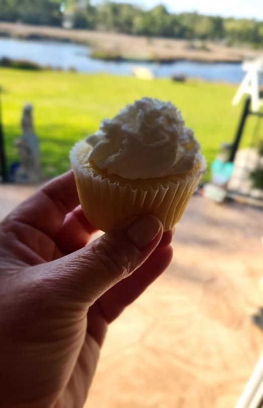 Hand holding a frosted cupcake; sunny outdoor setting with water and grass.