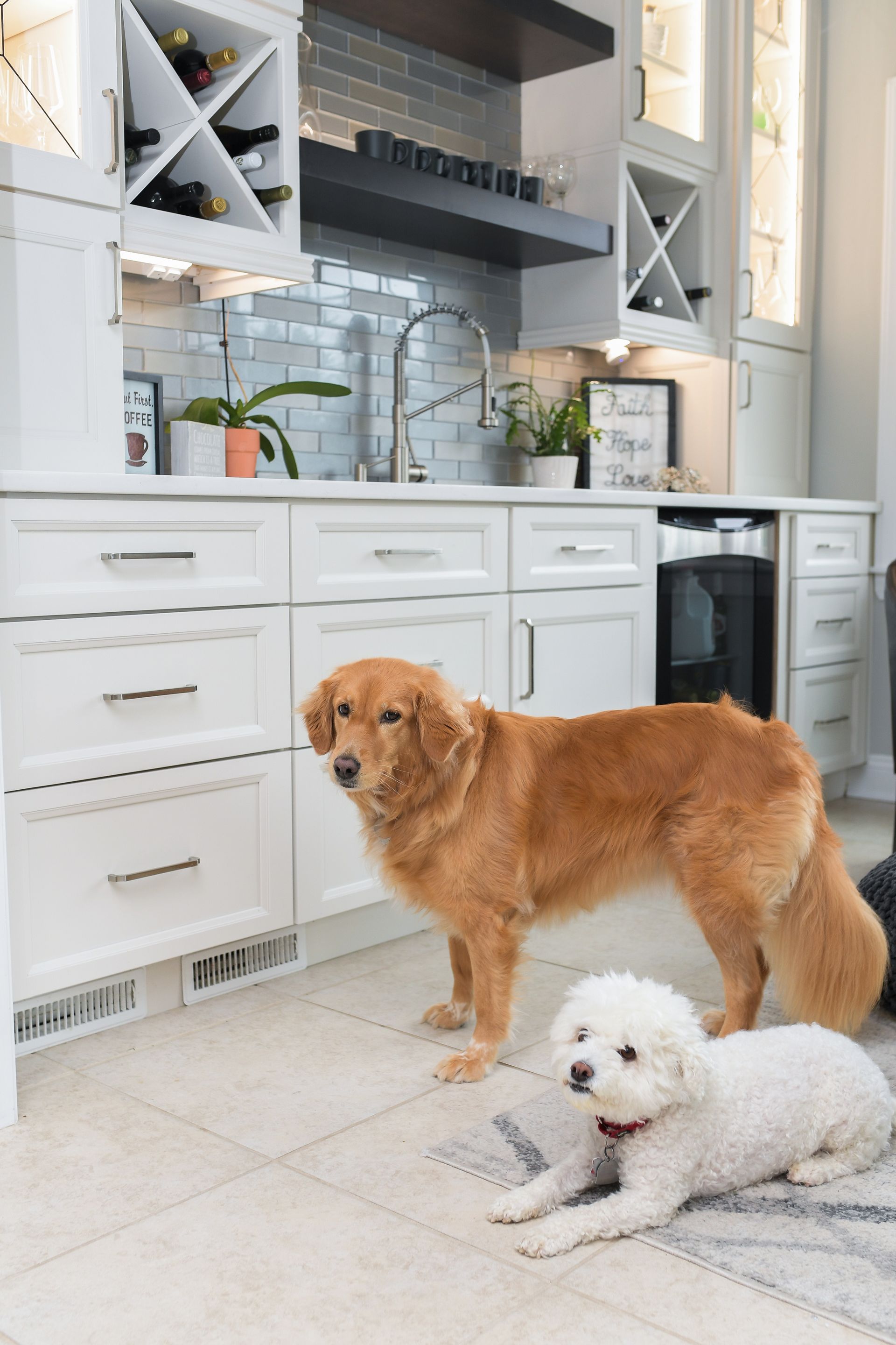 Two dogs are standing in a kitchen next to each other.