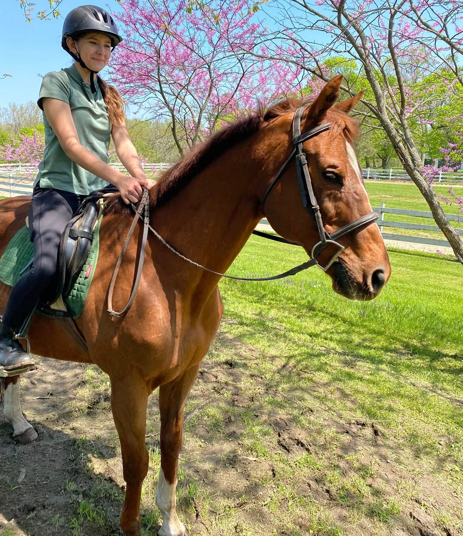 orchard-Park-Equestrian-About-Horse-Riding
