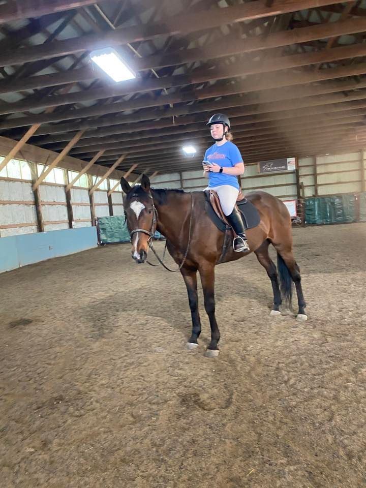 orchard-Park-Equestrian-Service-Horse-riding