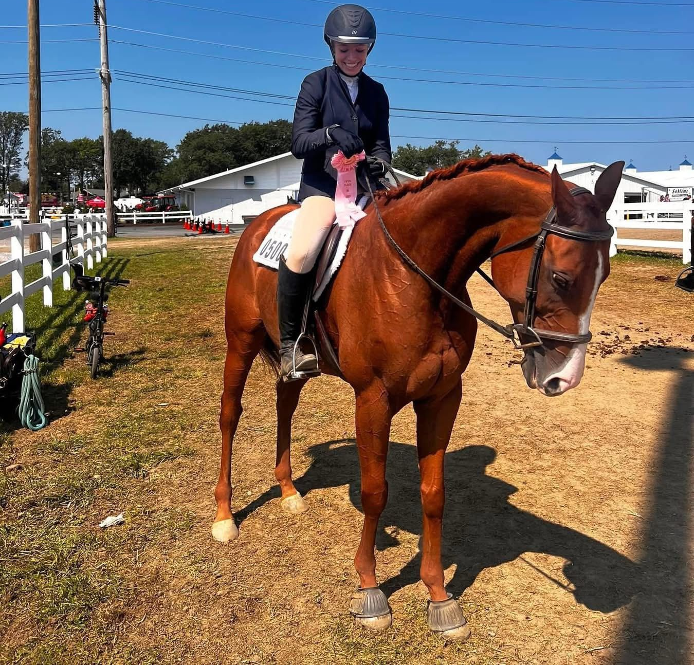 orchard-Park-Equestrian-Horse-Riding