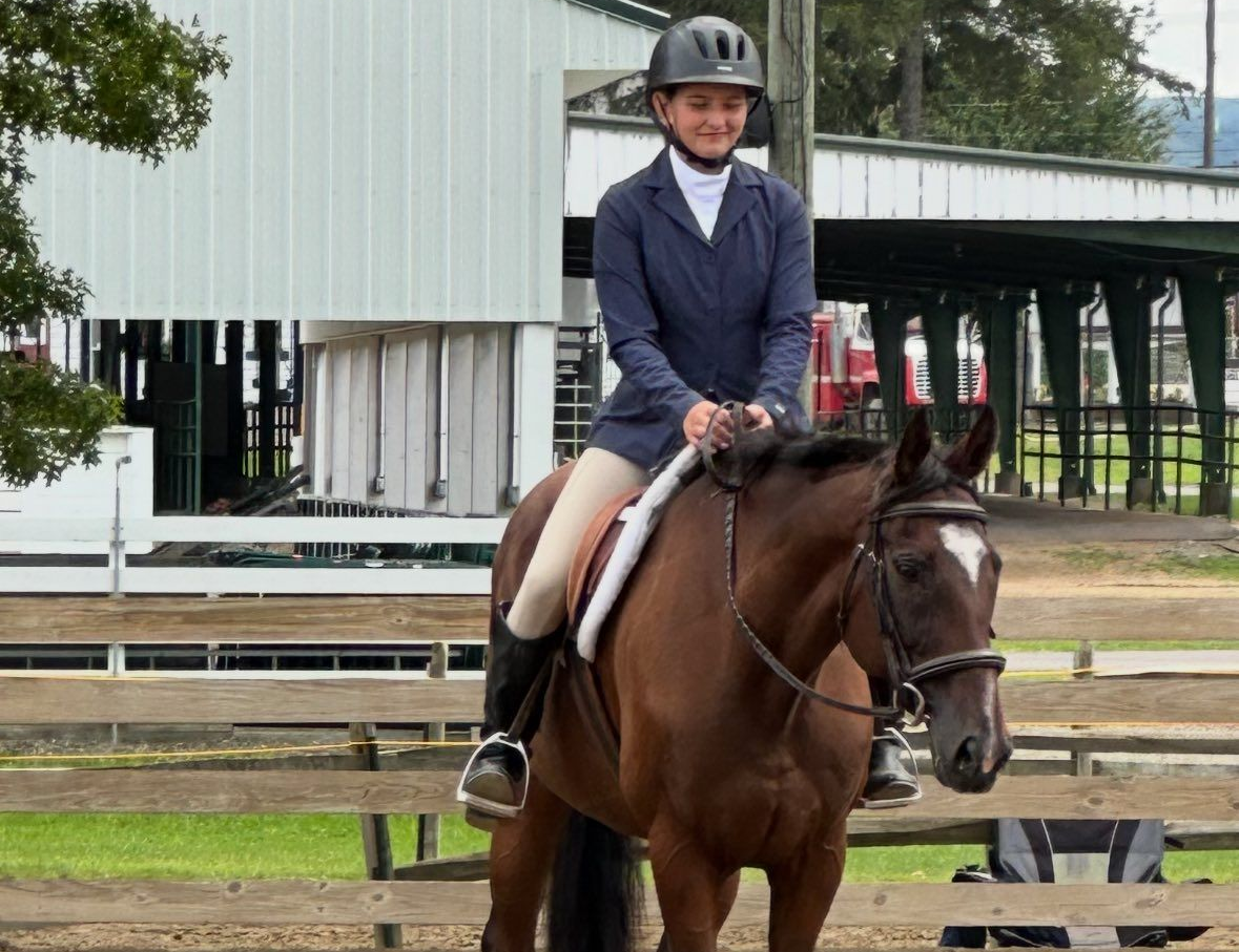 orchard-Park-Equestrian-Home-Horse-riding