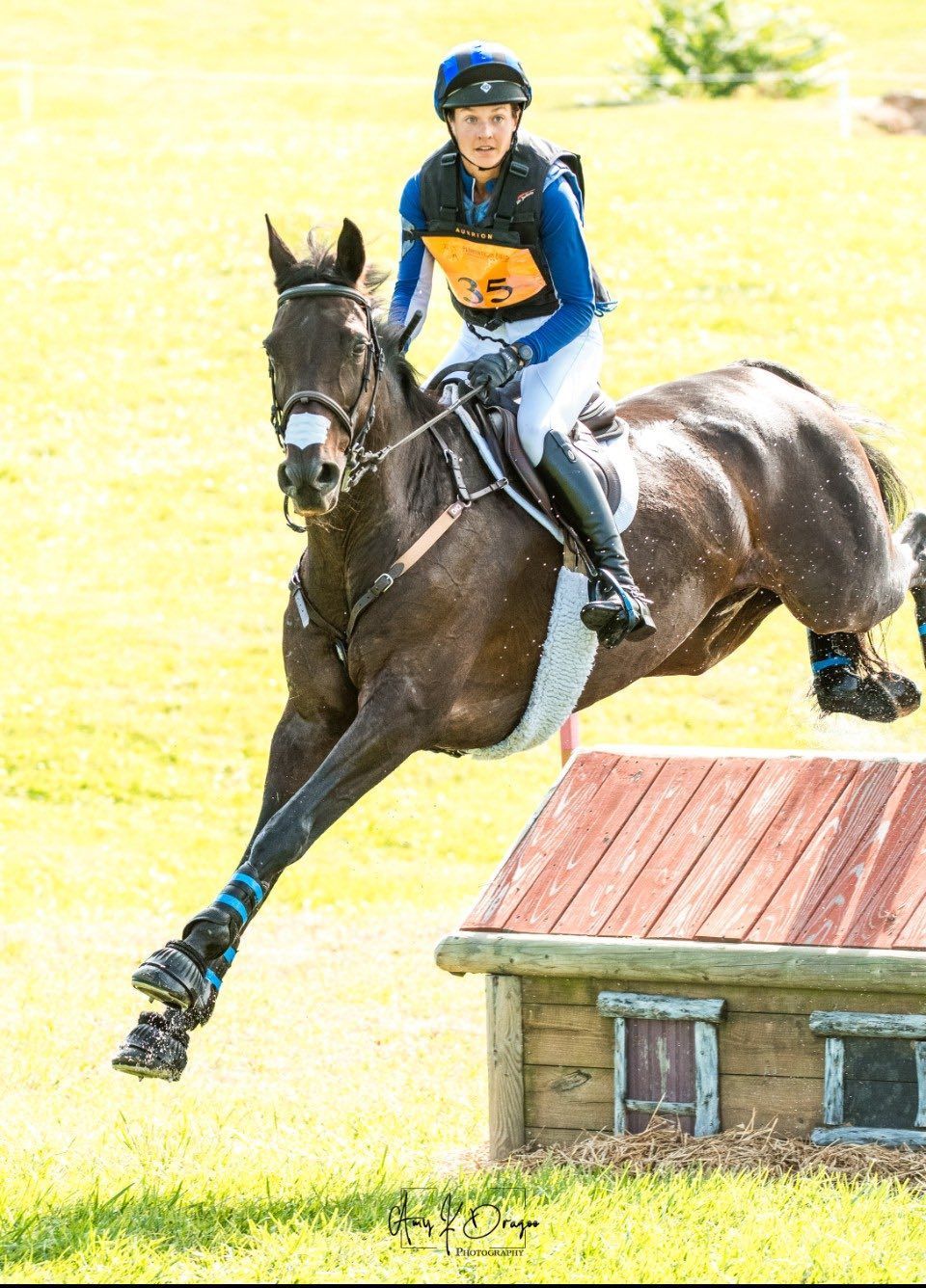 orchard-Park-Equestrian-horse-riding