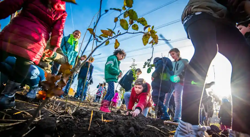 a group of children are planting a miyawaki tiny forest in a field