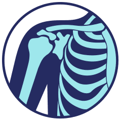 Anatomical illustration of a shoulder joint in light blue against a dark blue background, encircled.