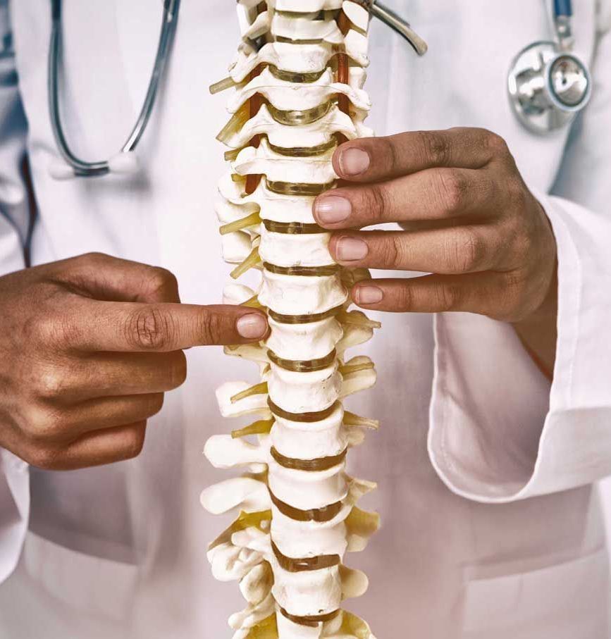 Doctor pointing at spinal column model, demonstrating spine anatomy.