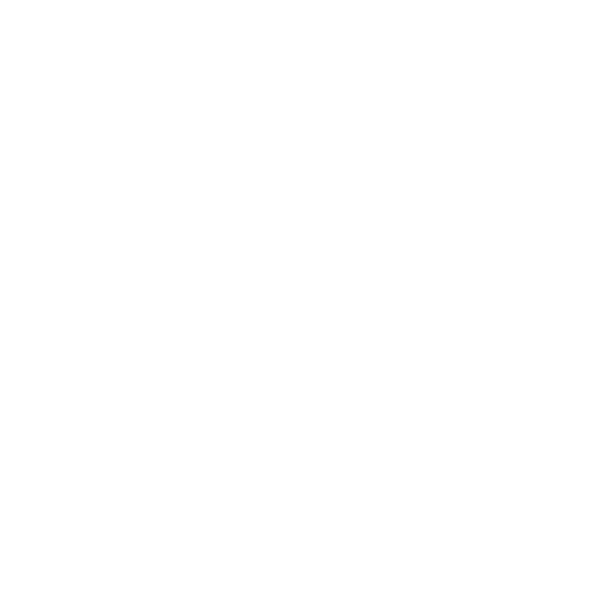 Brooklyn Puppy Boutique Logo