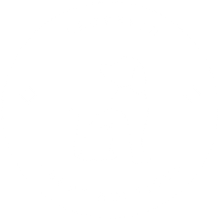 Brooklyn Puppy Boutique Logo