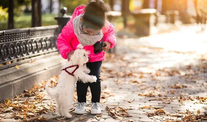 A person in a pink jacket pets a small white dog outdoors.