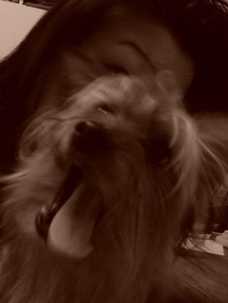 Woman holding a small, brown dog that is panting with its tongue out.