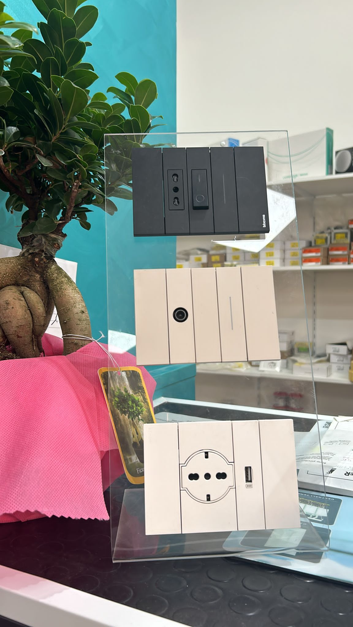 Un bonsai è seduto su un tavolo accanto a un'esposizione di prese elettriche.