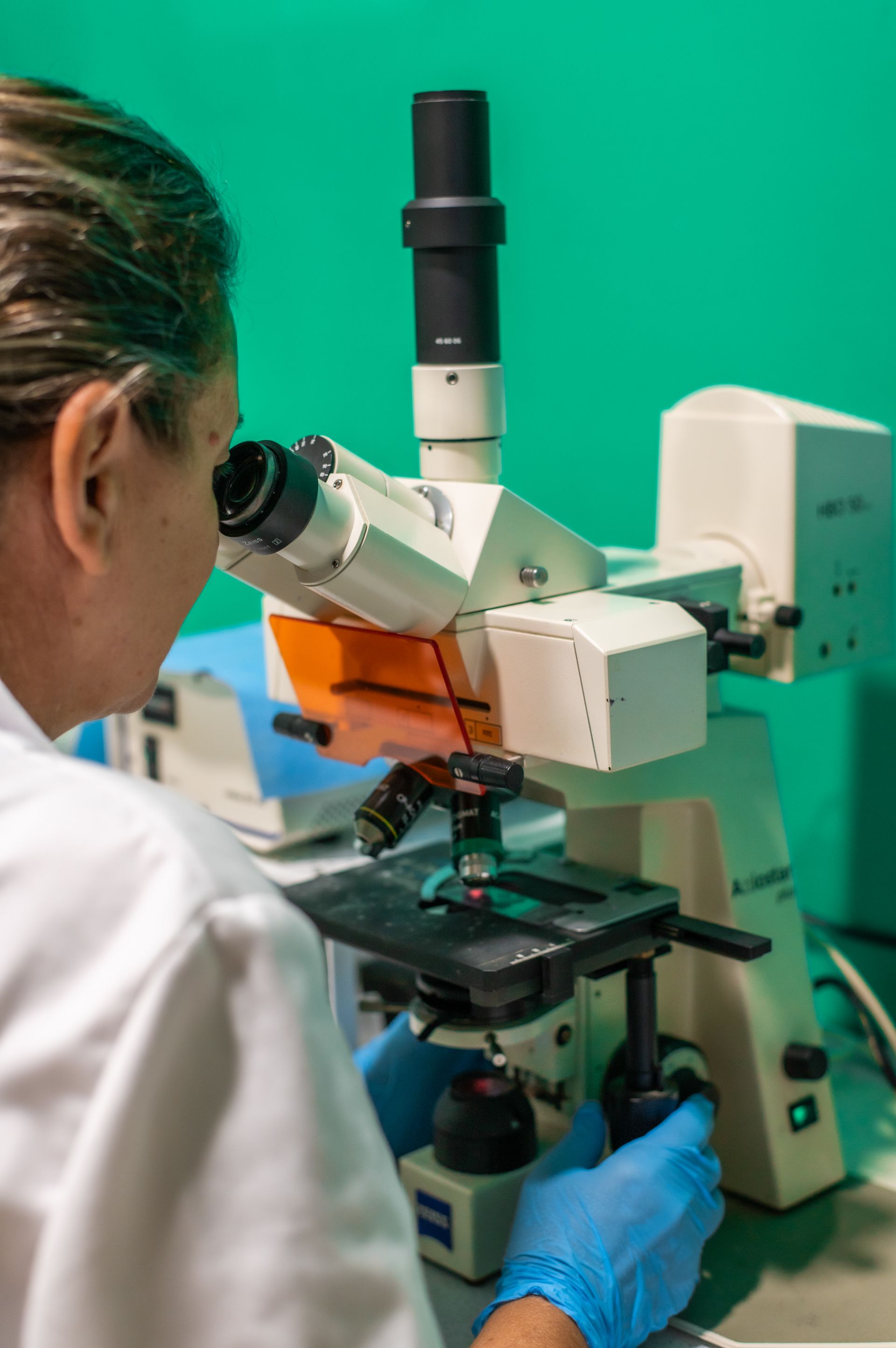 Una donna guarda attraverso un microscopio in un laboratorio.