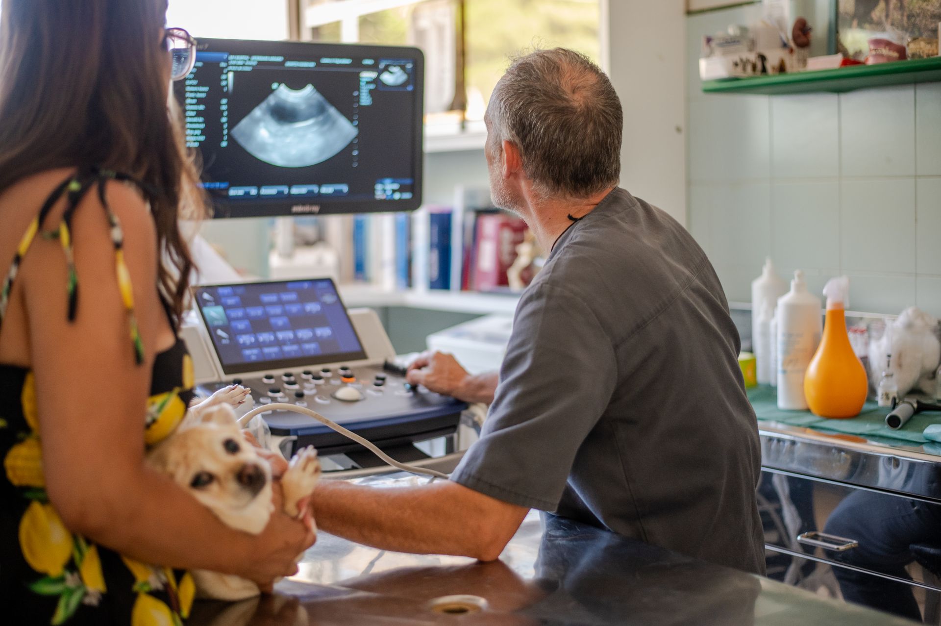 Una donna tiene in braccio un cane mentre un veterinario gli esegue un'ecografia.