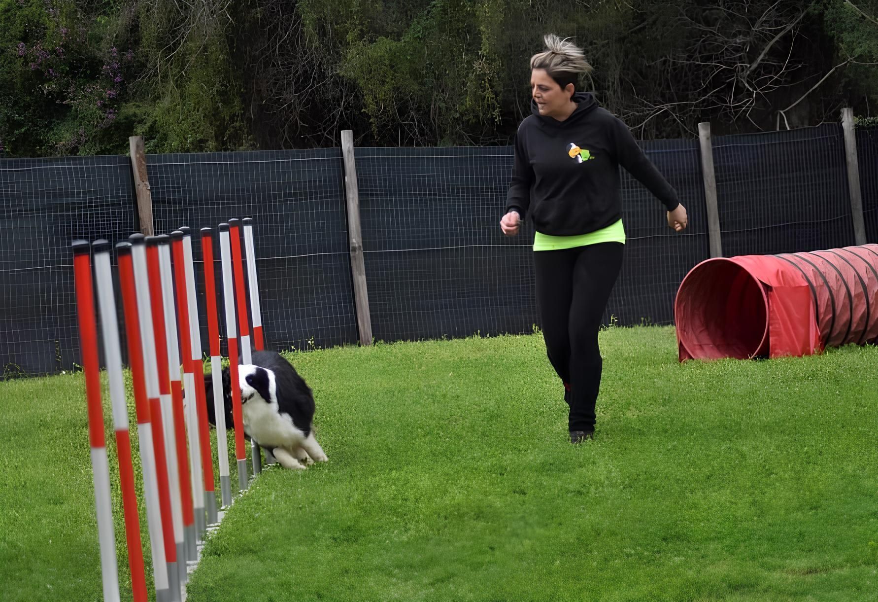 Una persona sta portando a spasso un cane corgi al guinzaglio.