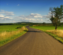 winding road with green pastures of grass on both sides