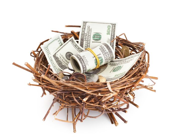 Dollar Bills on Bird Nest — Fishers, IN — Norwood Economics