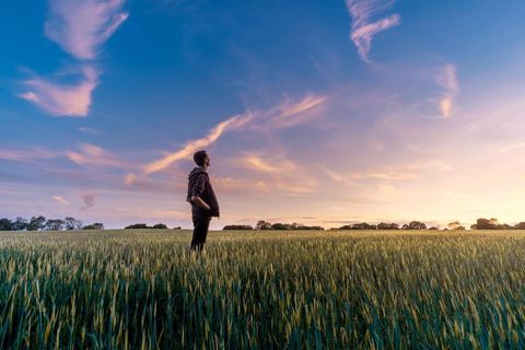 Man on an Empty Field — Fishers, IN — Norwood Economics Man on an Empty Field — Fishers, IN — Norwood Economics