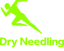 The Dry Needling Therapist Logo