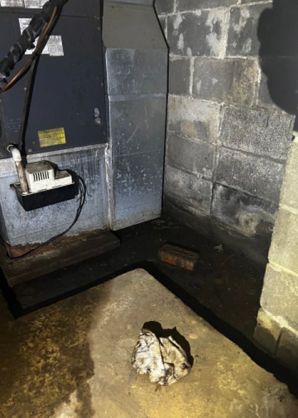 A dirty basement with a piece of paper on the floor.