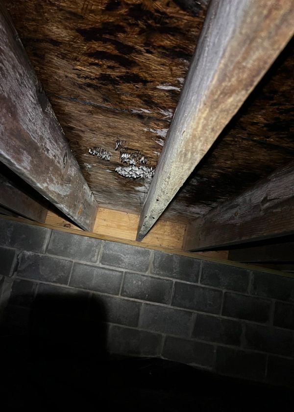 A close up of a wooden beam in a basement.