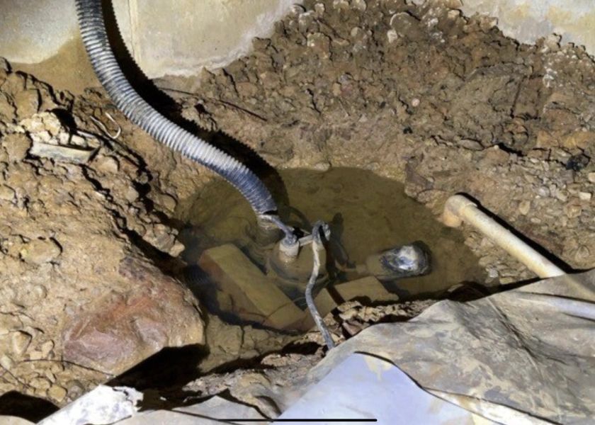 A snake is laying in the dirt next to a hose