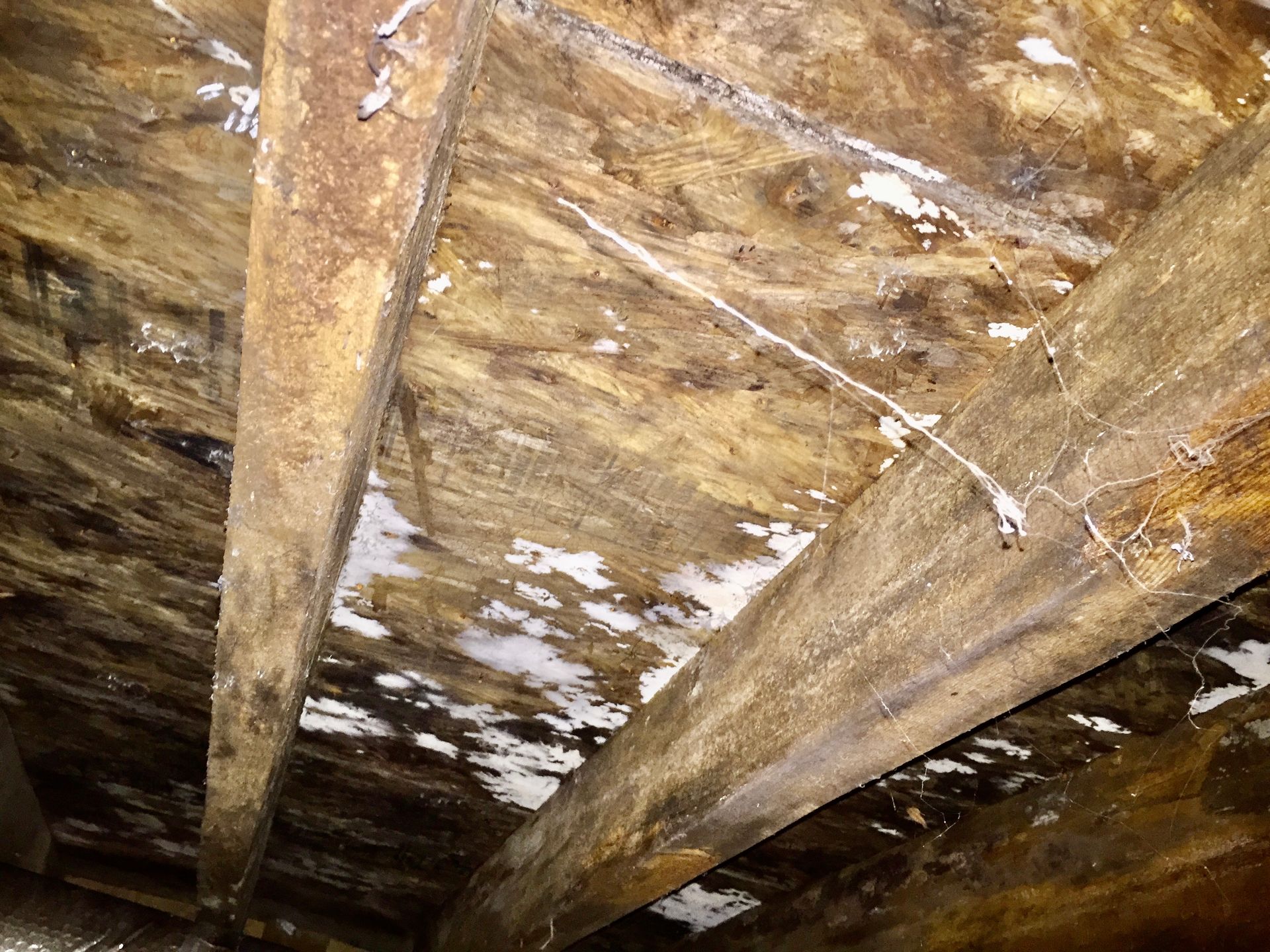A close up of the ceiling of a building with a lot of wood.