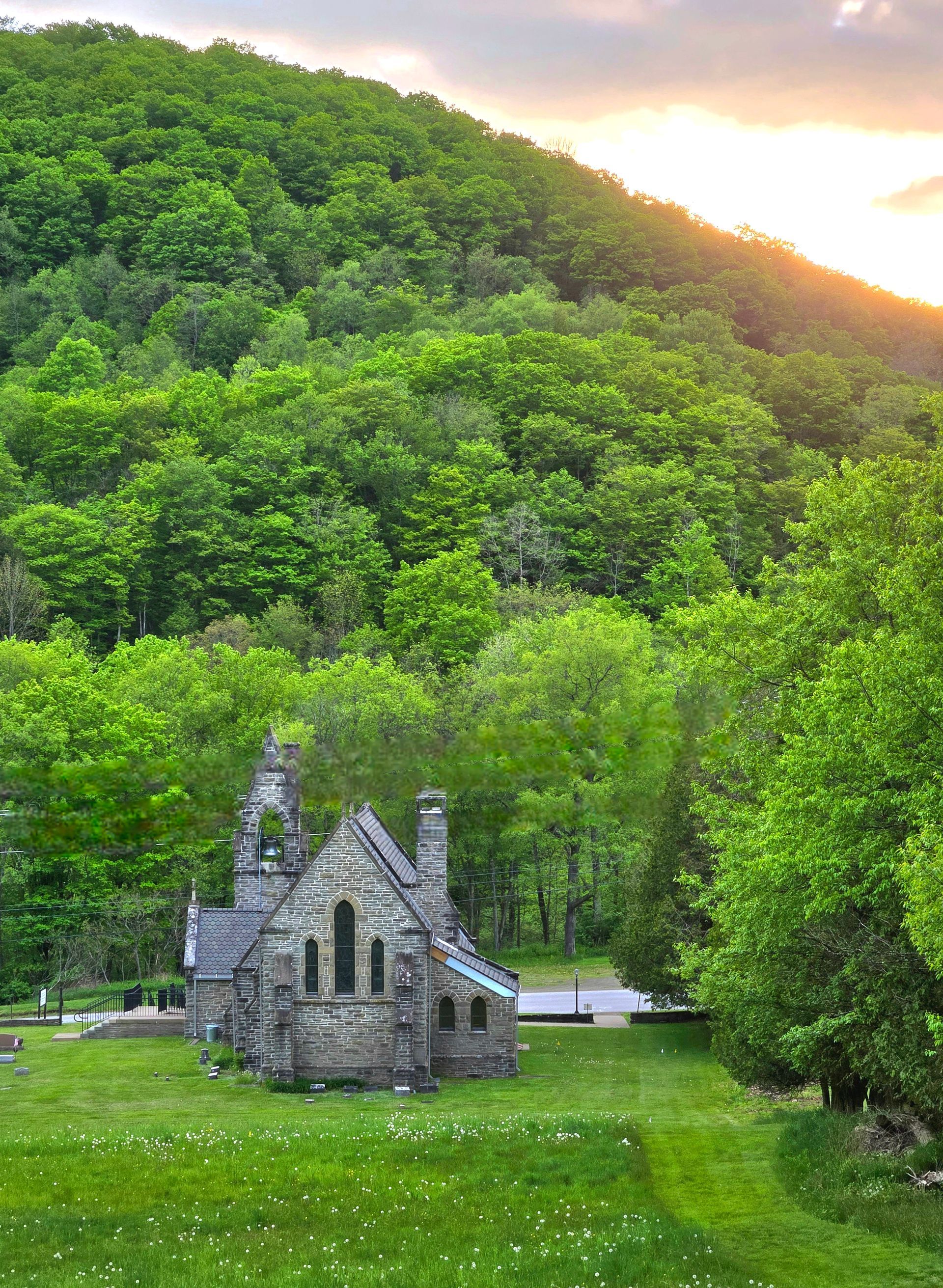 A small stone building in the middle of a lush green forest