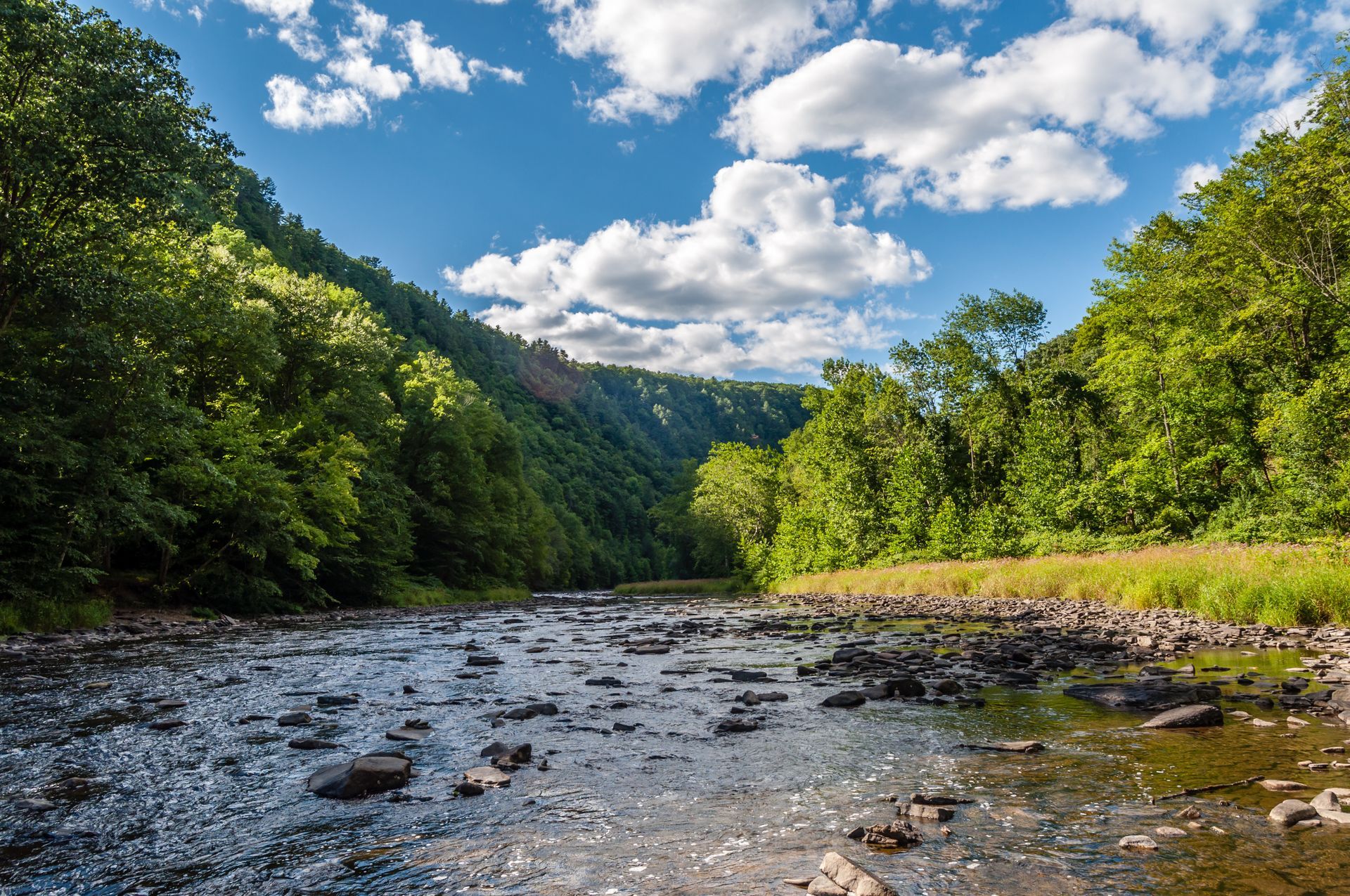 A river surrounded by trees and rocks on a sunny day