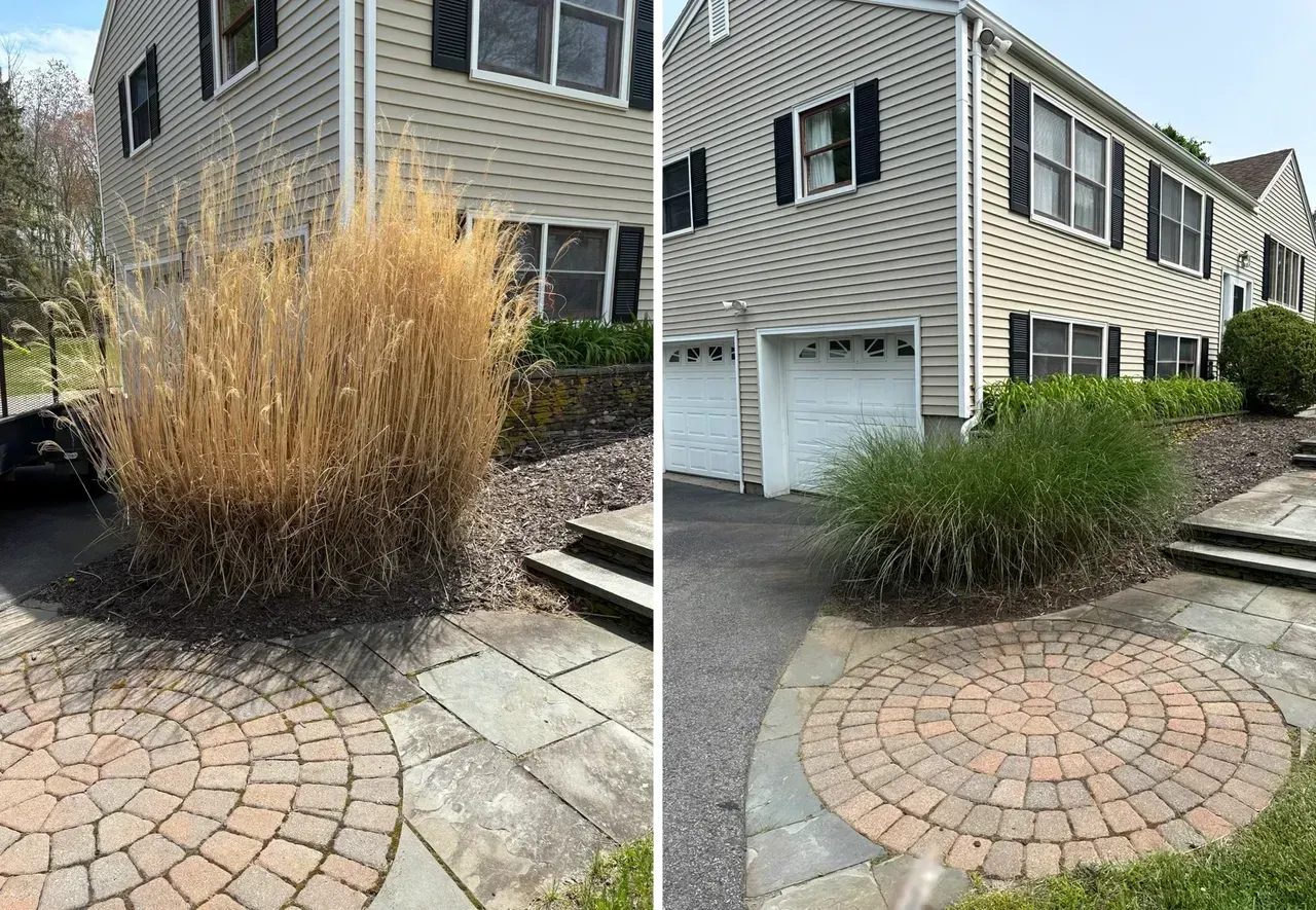 Before-and-after of a front yard shrub trimmed from tall brown overgrowth to a neat green bush by a driveway