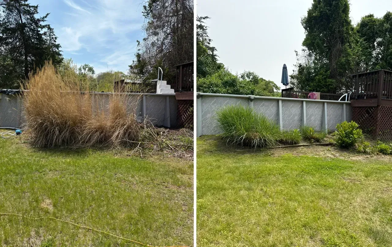 Backyard before-and-after: overgrown grass and shrubs on the left, neatly mowed lawn on the right.