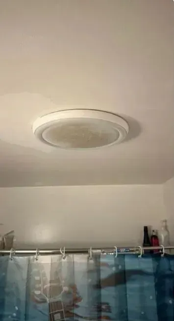 White ceiling with a round flush-mounted light above a shower curtain in a bathroom