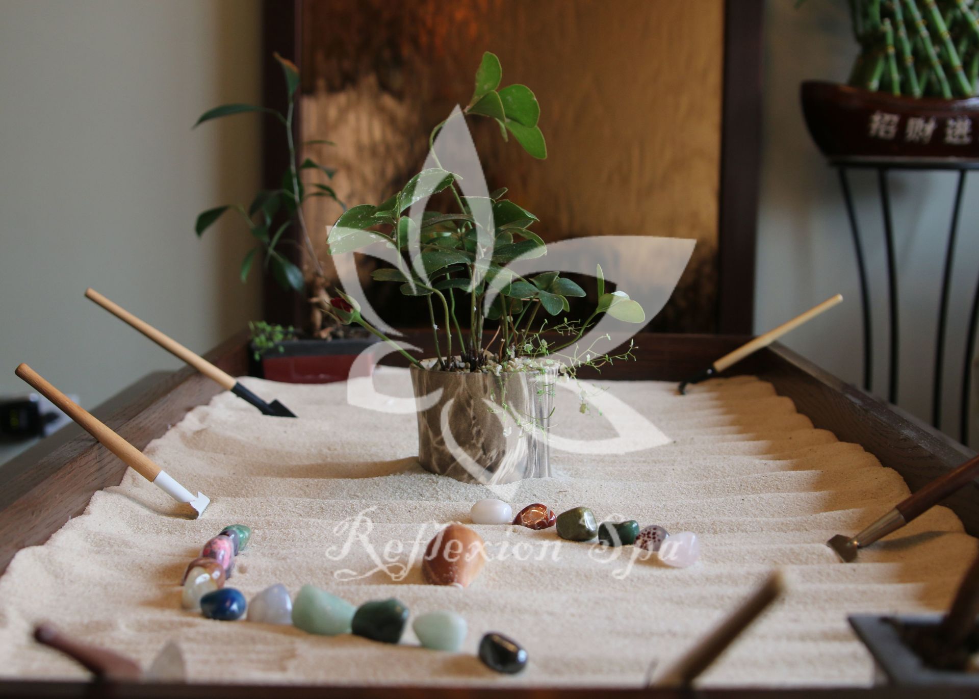A table with a potted plant and a reflection logo on it