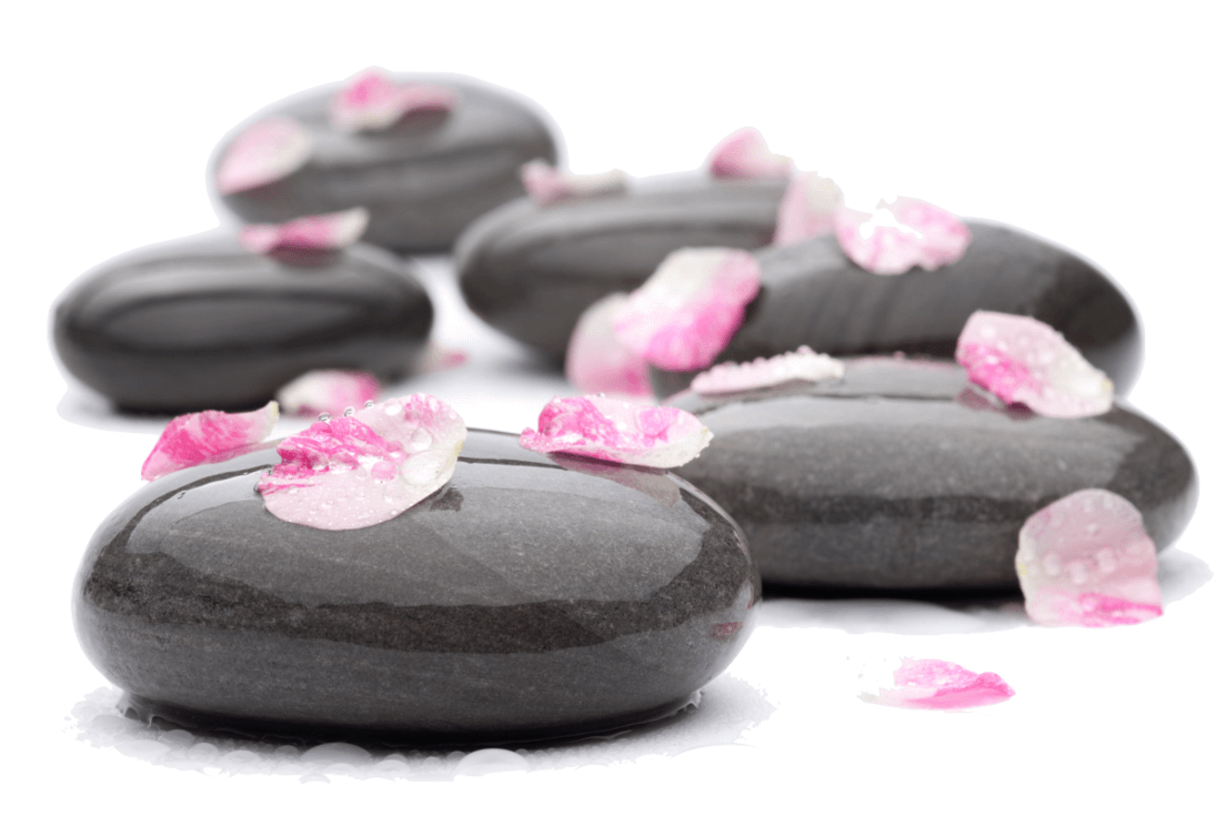 A row of black rocks with pink petals on them