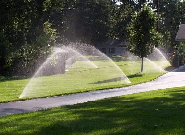 A row of sprinklers spraying water on a lush green lawn