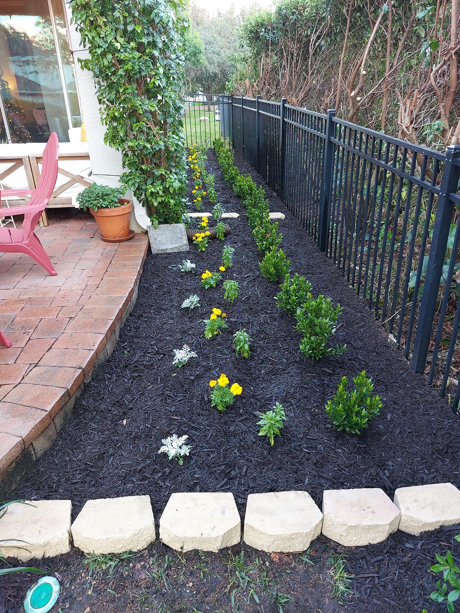 Front yard landscaping with flower bed, mulch, and hedge installation along fence in Plant City, FL
