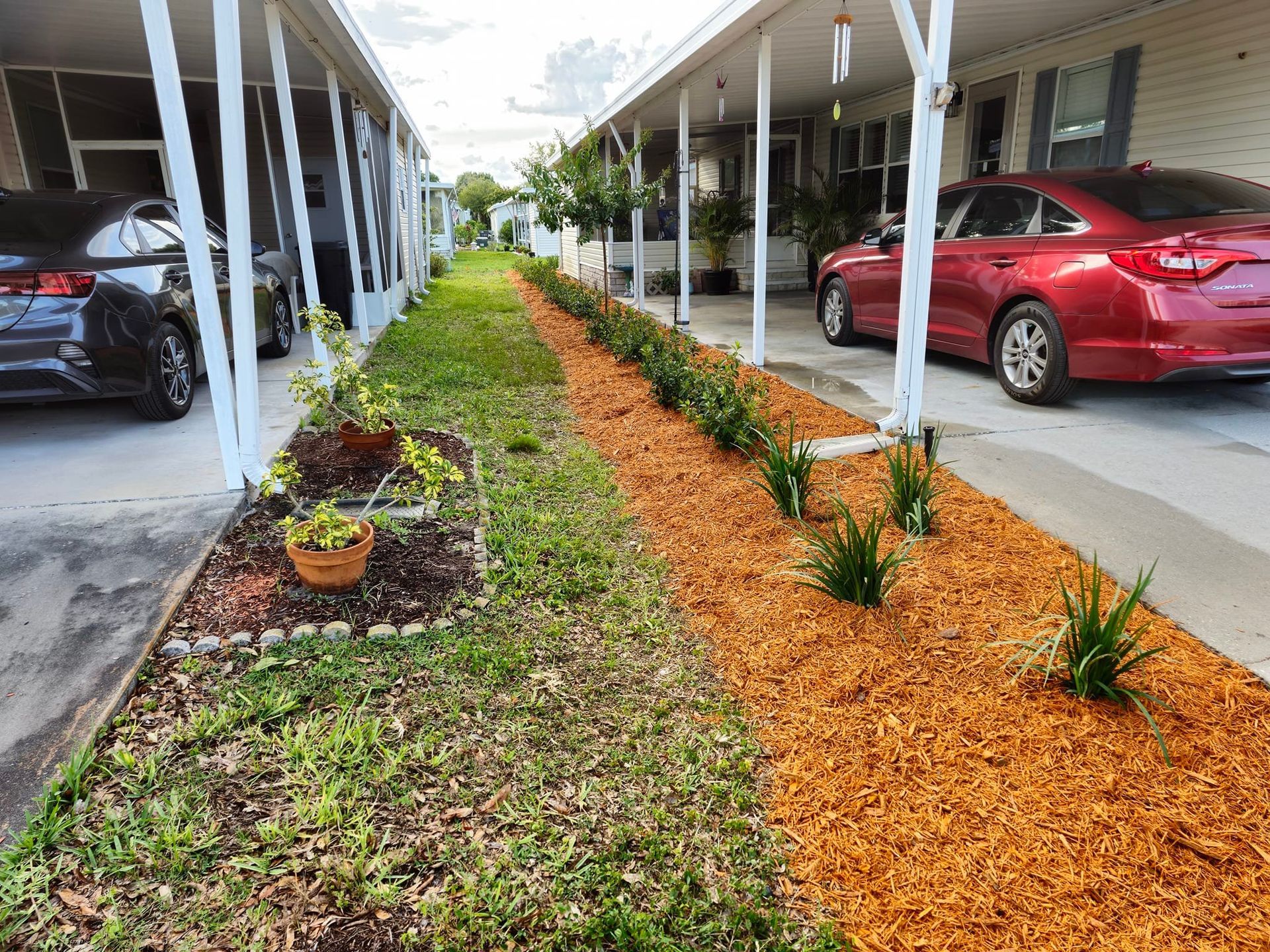 Garden bed landscaping design with mulch, plants, and clean edging at residential property in Plant City, FL