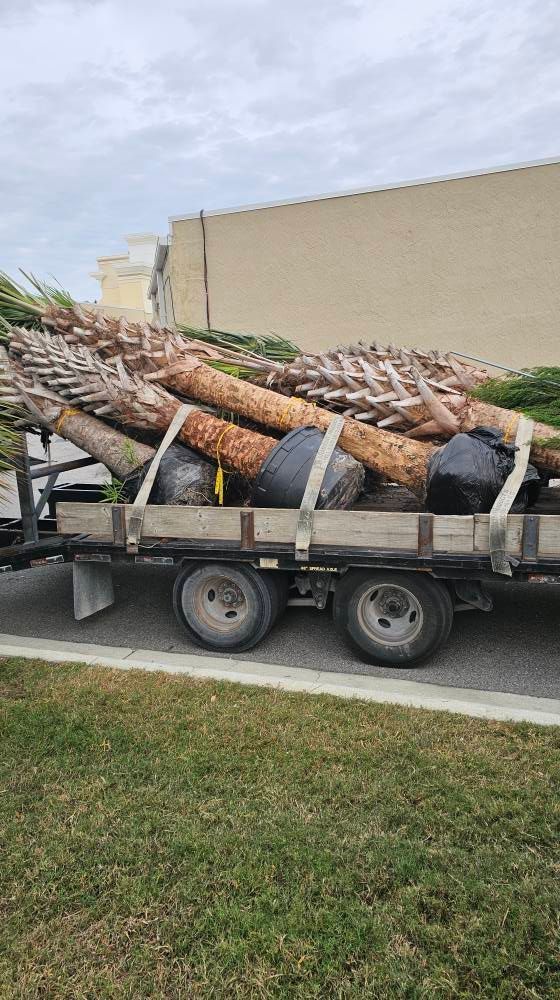 Tree planting and irrigation setup for residential property landscaping in Plant City, FL