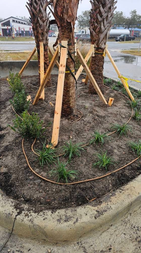 tree planting landscaping services design maintenance irrigation