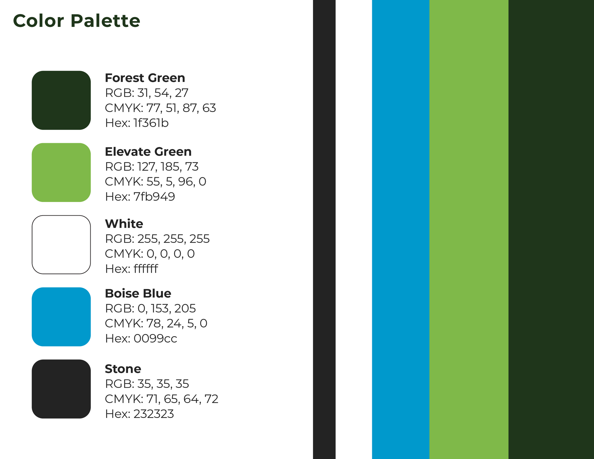 A color palette with four different shades of green and blue