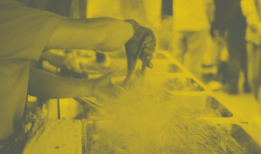 Person sifting through material with hands, possibly outdoors, yellow toned.