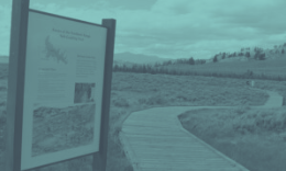 Sign with information next to a boardwalk winding through a marshy landscape with distant hills under a cloudy sky.