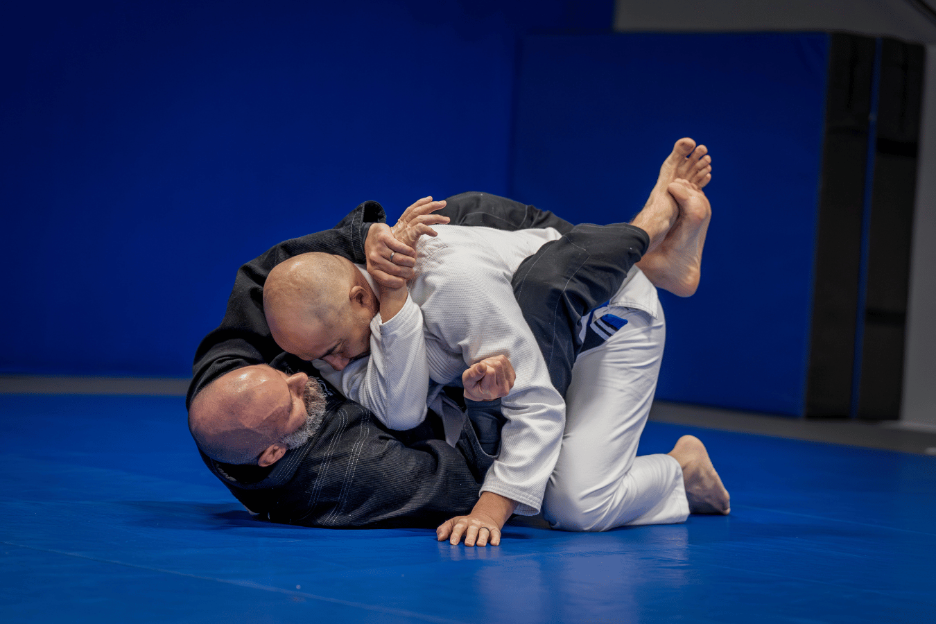 Gracie Farmington Valley