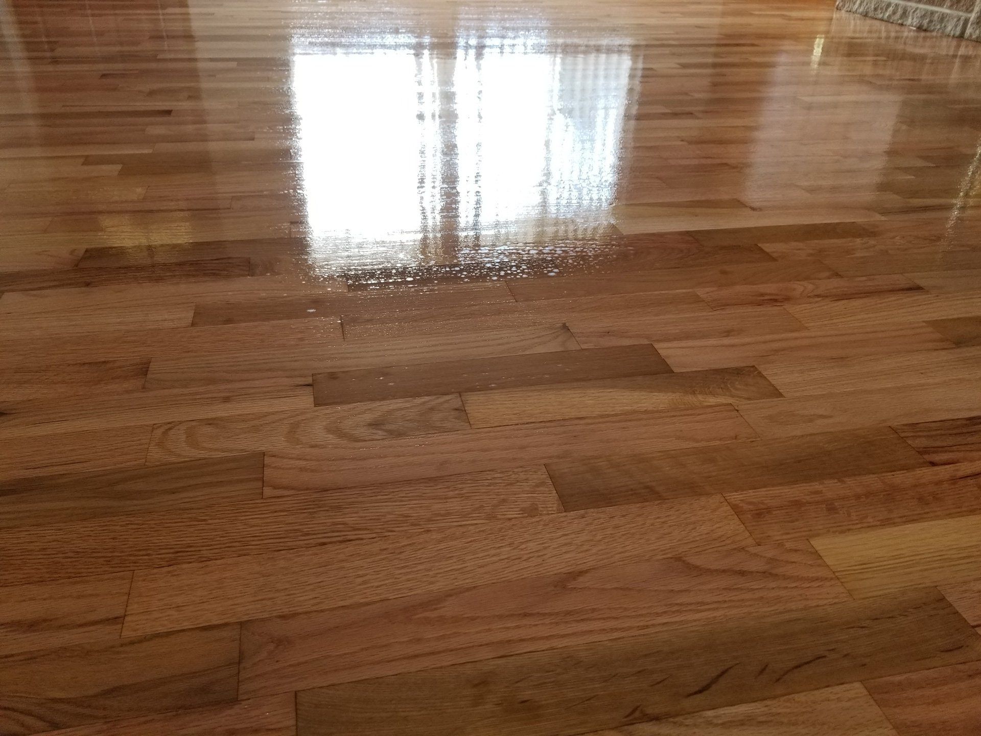 Hardwood Floor Gallery Olympia, WA Tuller's Hardwood Floors