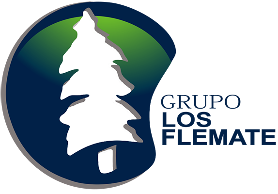GRUPO LOS FLEMATE