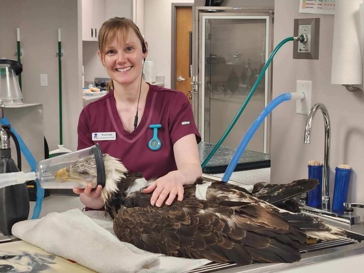 Jamie — Spokane, WA — Hunter Veterinary Clinic