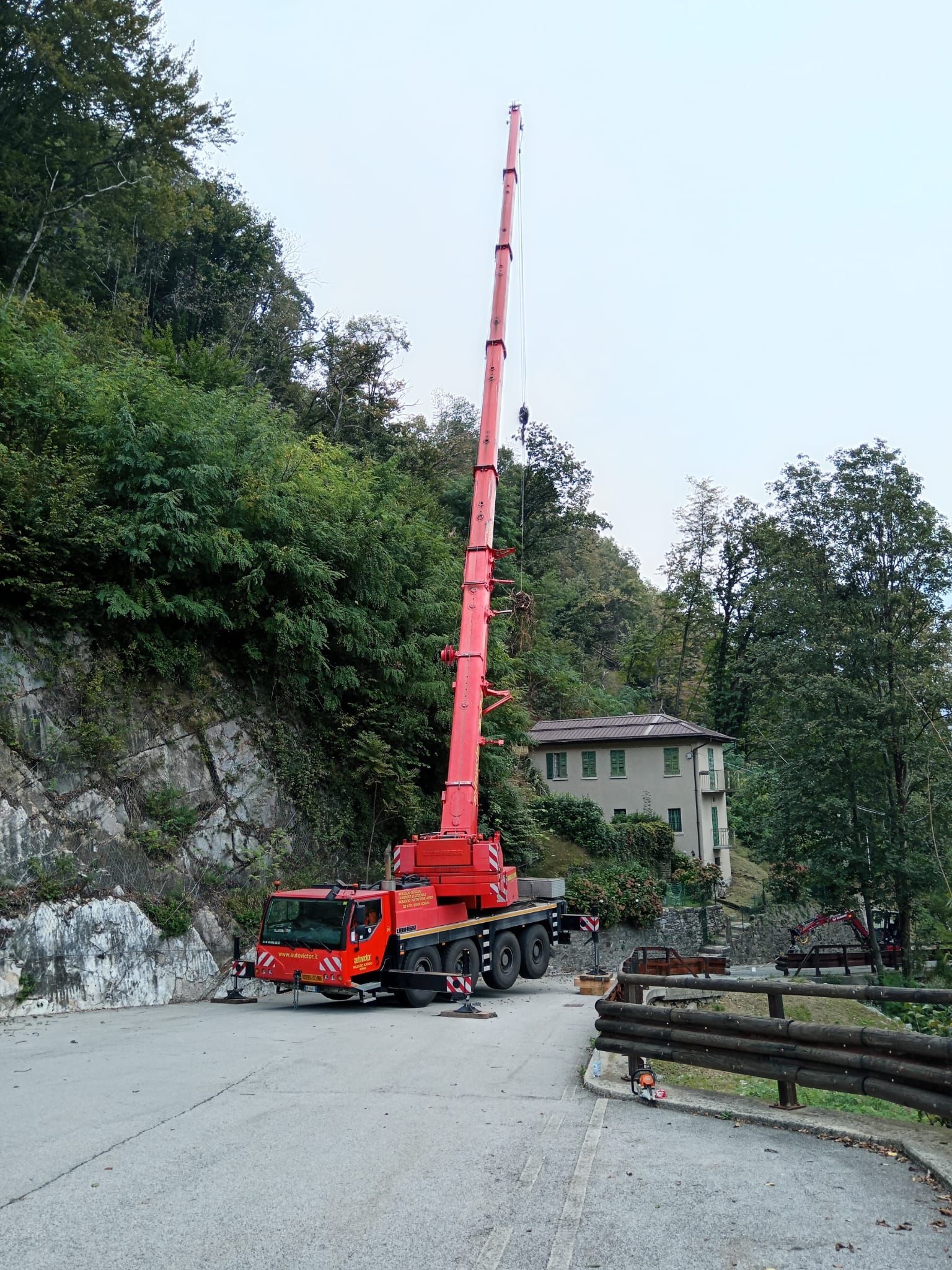 messa in sicurezza bosco
