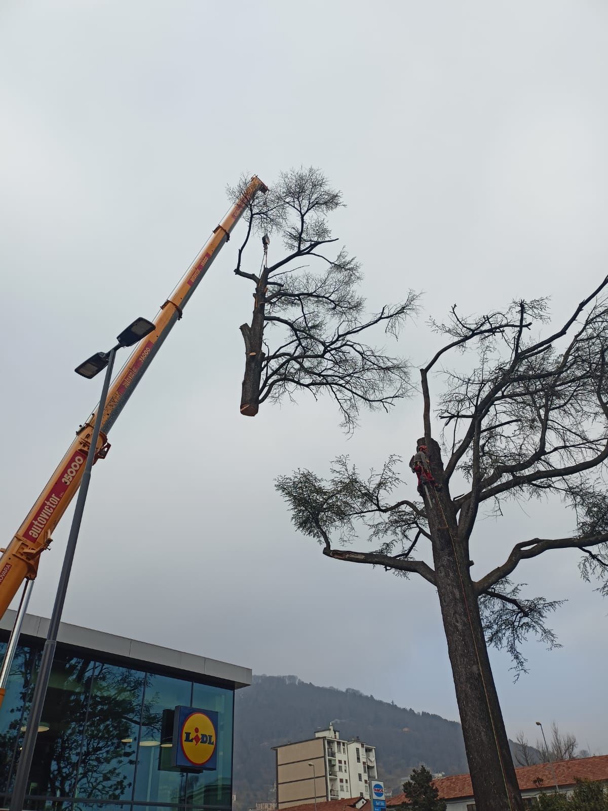 manutenzione giardino