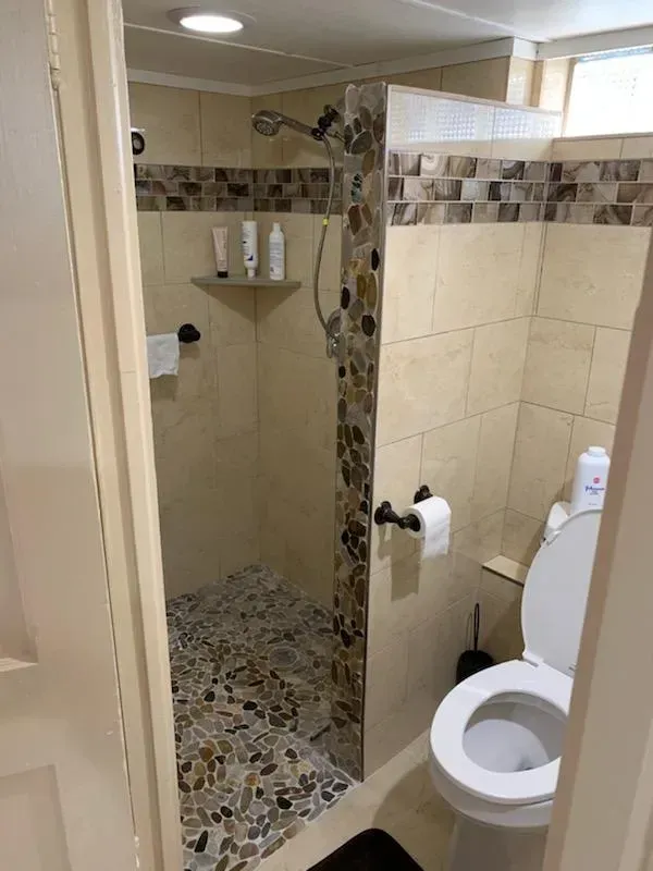 A bathroom with a toilet and a walk in shower.