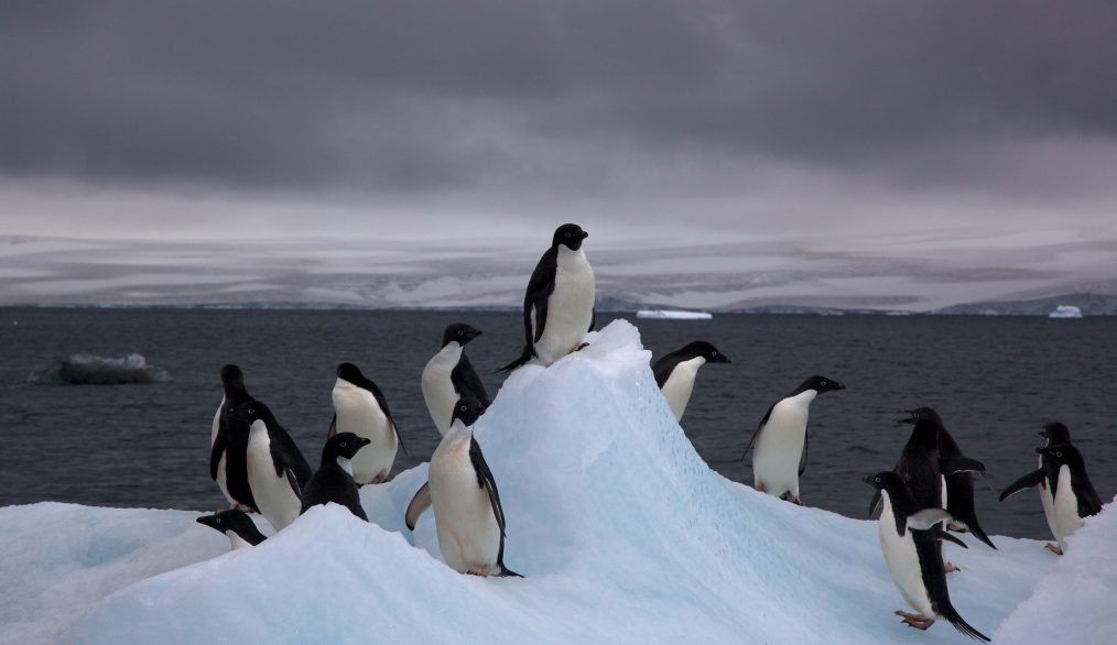 ITM by Consilium Education